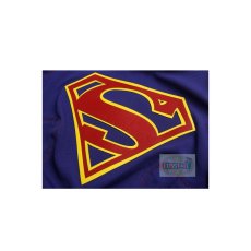 Photo8: Super girl Kara Danvers Cosplay Costume (8)