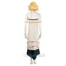 Photo3: The Legend of Zelda: Tears of the Kingdom Hyrule Princess Zelda Cosplay Costume (3)