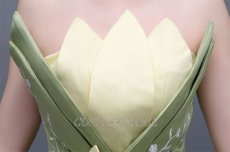 Photo9: The Frog Prince Disney Anime Princess Dress Cosplay Costume (9)