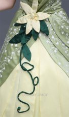 Photo11: The Frog Prince Disney Anime Princess Dress Cosplay Costume (11)