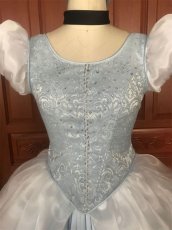 Photo6: Cinderella Princess Cindy Dress Disney Cosplay Costume (6)