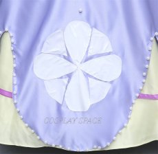 Photo8: Disney Anime Little Princess Sophia Cosplay Costume (8)