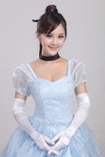 Photo7: Cinderella Princess Cindy Dress Disney Cosplay Costume (7)