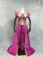 Photo1: Alladin Jasmine Princess Cosplay Costume (1)