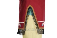 Photo14: The Legend of Zelda: Tears of the Kingdom Link Hylian Armor Cosplay Costume (14)